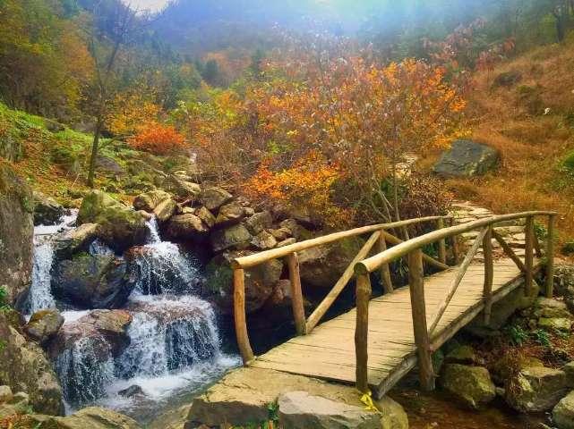 小艾比模仿秀